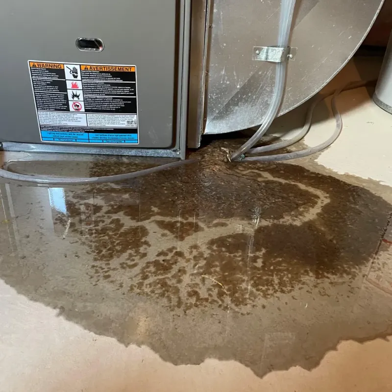 Appliance Leak Cleanup in Spurgeon, TN