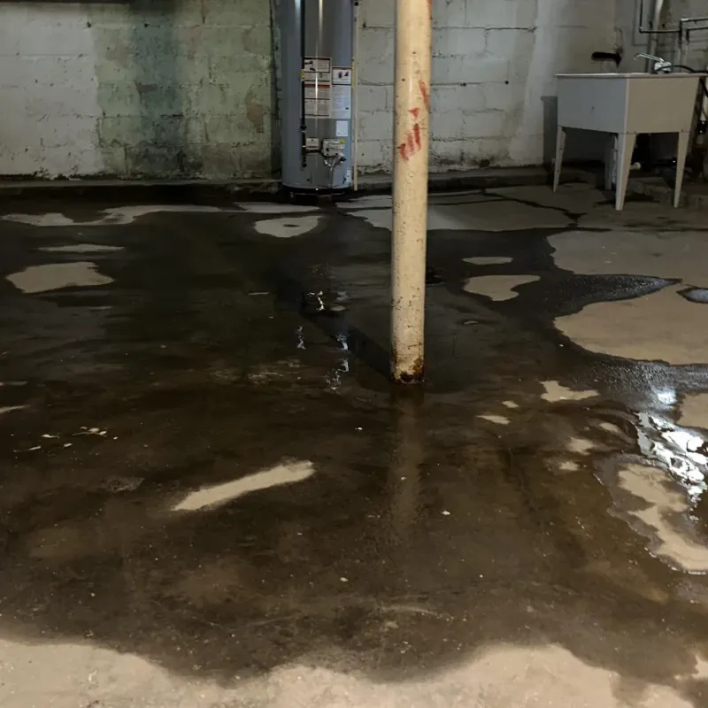 Emergency Water Extraction And Removal in Spurgeon, TN